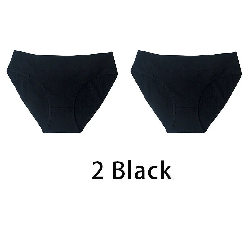 47210743726419|47210743759187|47210743791955