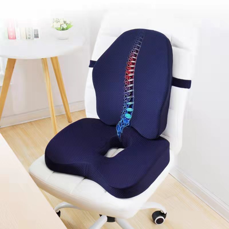 Coussin à Mémoire de Forme Anti Douleurs