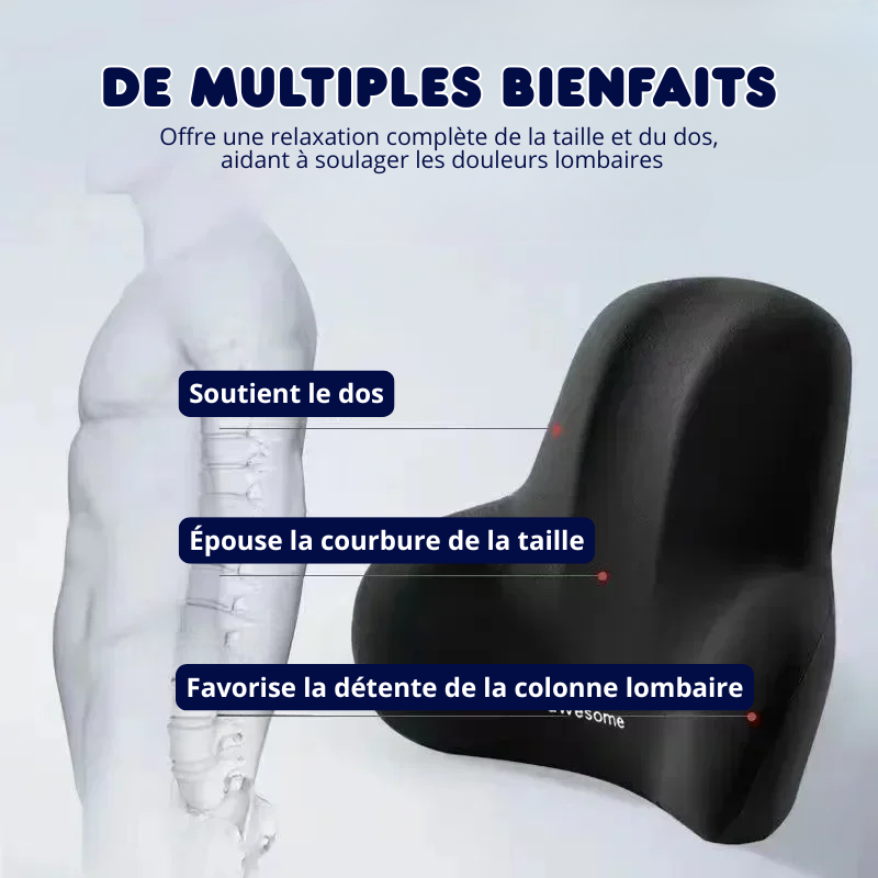 Coussin Lombaire à Mémoire – Soulage le Dos