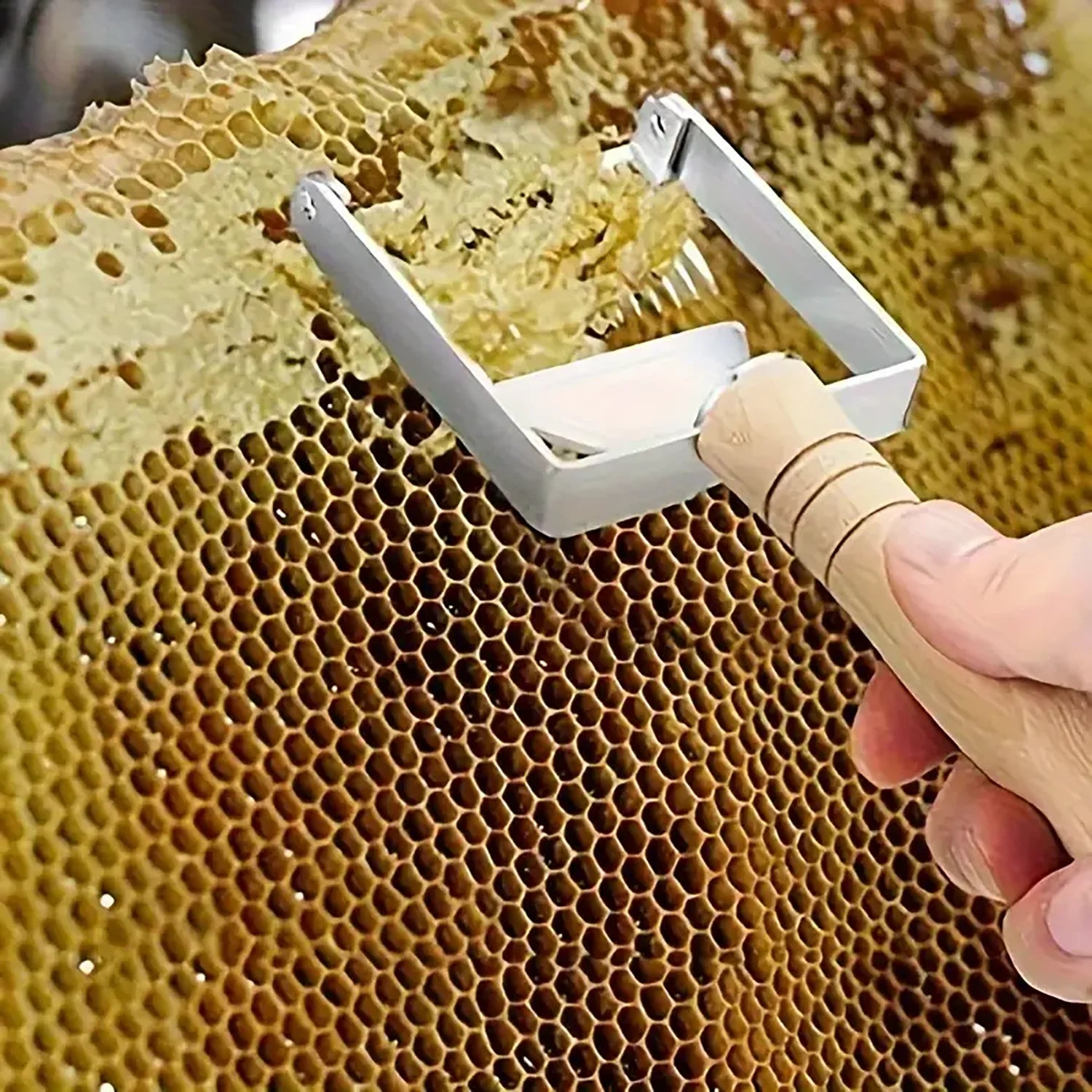Grattoir pour Désoperculation de Cire d'Abeille