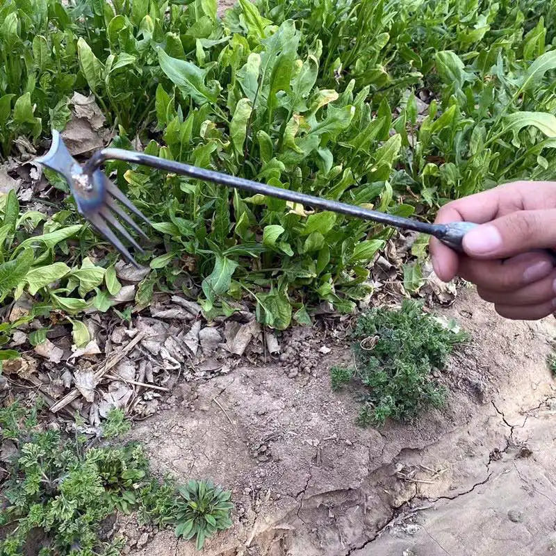 Désherbeur de Jardin Manuel - Sans Effort