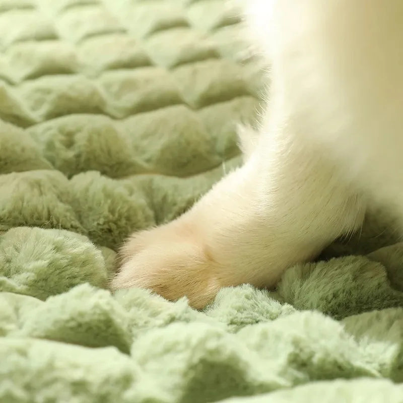 Soft Sofa - Canapé pour animaux avec coussin intégré