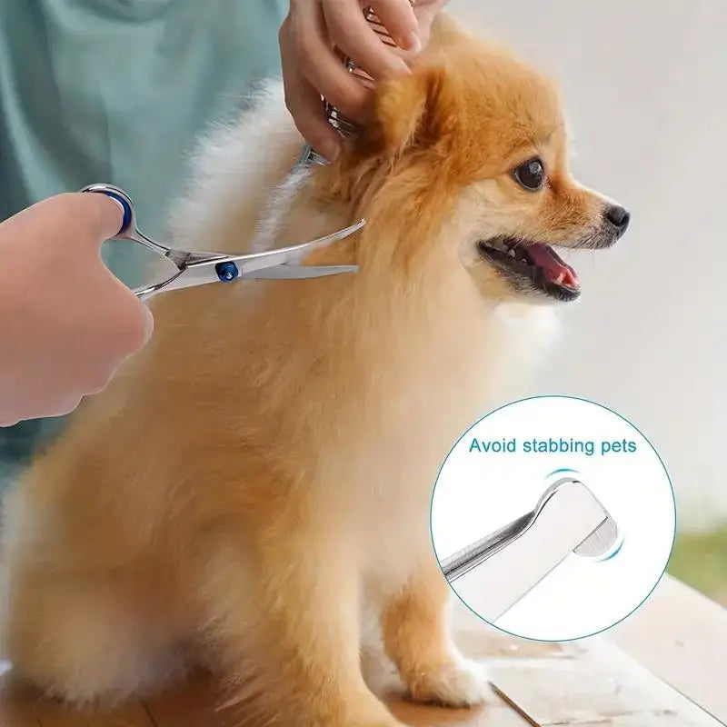Kit de Toilettage 4PCS pour Chien & Chat – Acier Inoxydable, Ambidextre & Bouts Arrondis Sécurisés