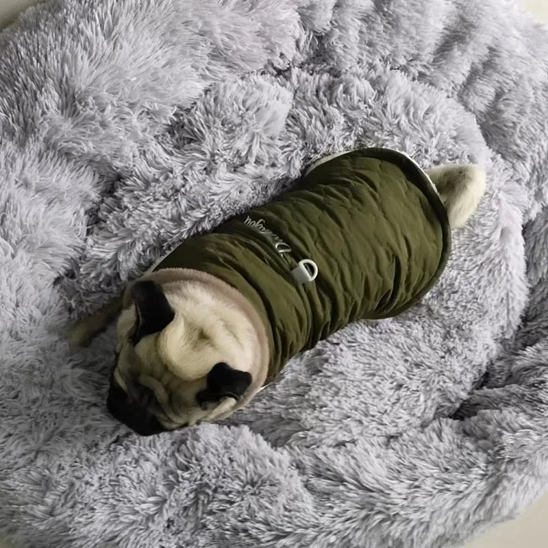 Veste pour chien imperméable intérieur polaire