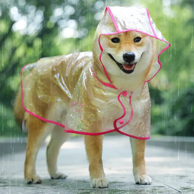 Manteau de pluie imperméable pour animaux