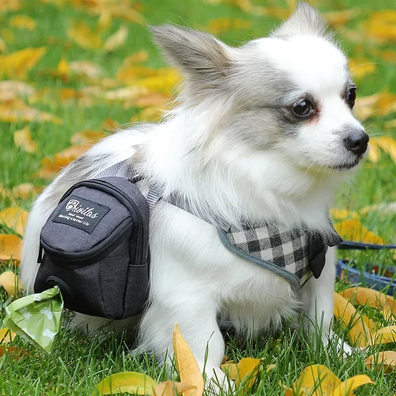 Sacoche de taille 2 en 1 pour l'entraînement des chiens
