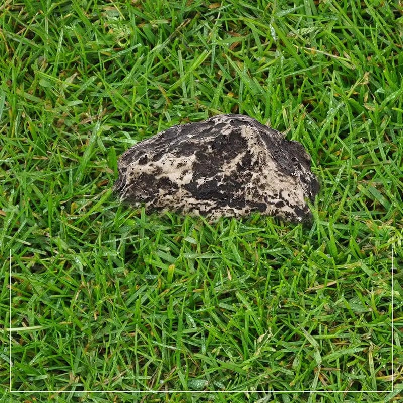 Cachette réaliste pour clés en forme de pierre