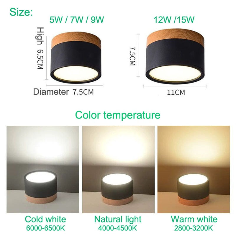 2x Spots LED modernes en bois colorés